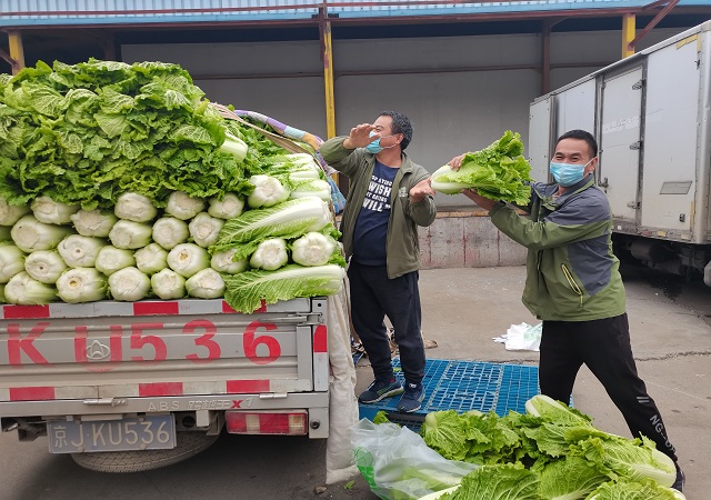 登录入口加大“冬储菜”调运，全力做好保供稳价